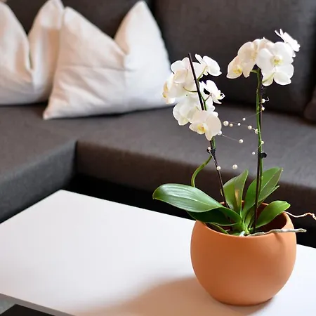 Apartament Mantinger *