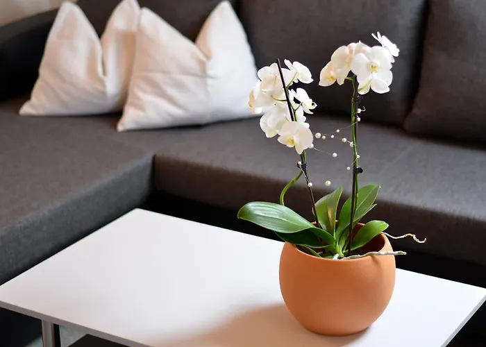 アパート Mantinger *